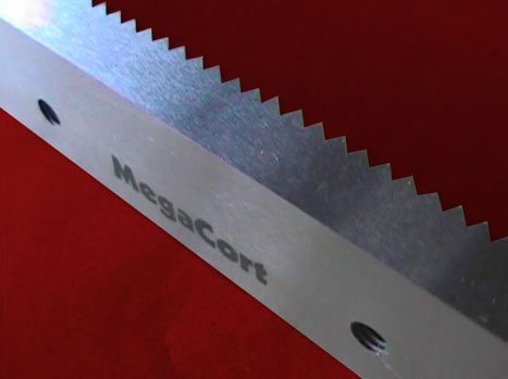 Megacort - especiales - Imagen 18